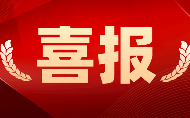 頂立科技獲“2023年湖南省制造業(yè)質(zhì)量標(biāo)桿企業(yè)”榮譽